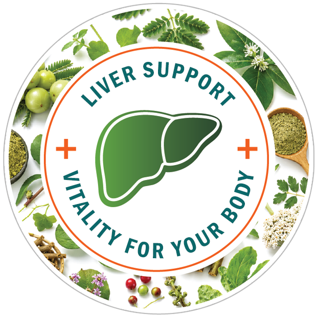 Liver support