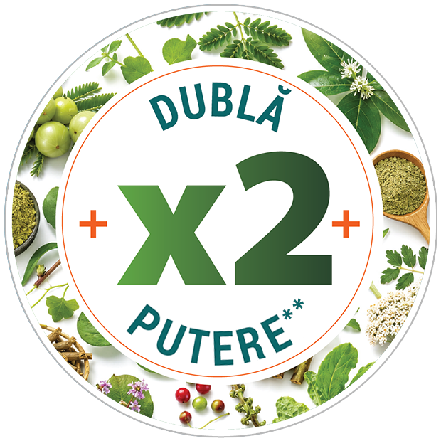 Dublă putere