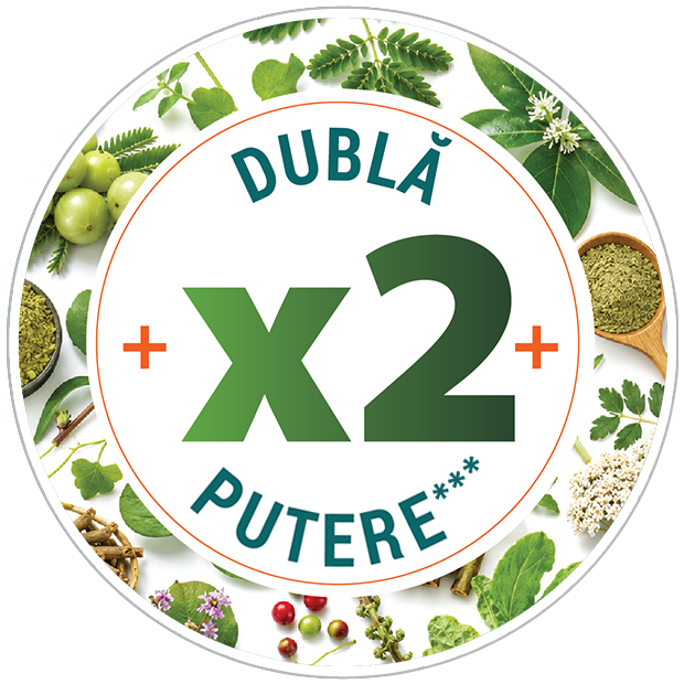 Dublă putere